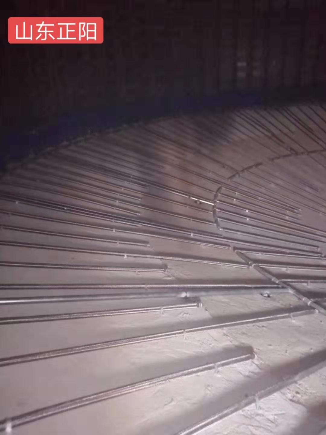 陈巴尔虎流化棒